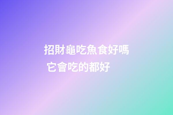招財龜吃魚食好嗎 它會吃的都好
